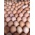 600g Caravan Eggs 